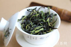 凤凰单丛属于红茶