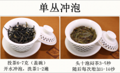 凤凰单丛（枞）茶泡法（地理标志产品凤凰单丛(枞)茶）
