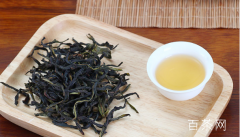 凤凰单丛“新茶”还是“老茶”好？