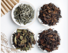 贵州白茶多少钱一斤