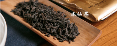 水仙茶树价格