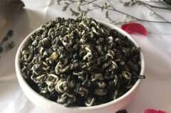 茉莉花茶的种类名称有哪些