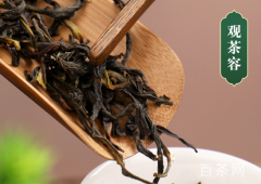 凤凰单枞是什么档次的茶