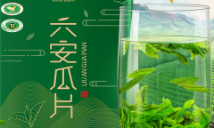 六安瓜片绿茶的功效与作用