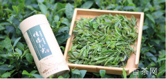 信阳毛尖茶叶近年的产量和产值