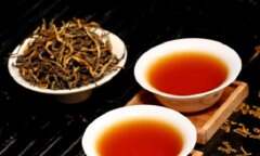 滇红茶滇红工夫茶介绍滇红茶知识