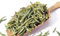 坡柳毛峰绿茶