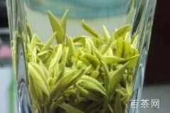 桐城小花是什么茶多少钱一斤