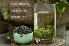日照绿茶的功效与作用日照绿茶禁忌