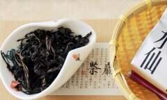 水仙茶树图片