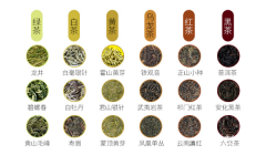 中国的六大茶类分别包括哪些