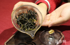 桂花单枞属于什么茶