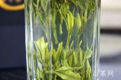 桐城小花是绿茶吗