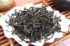 凤凰单丛茶是绿茶吗