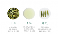 竹叶青属于哪类茶