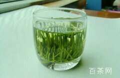 什么是竹叶青茶叶？竹叶青茶叶多少钱一斤？