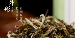 中国白茶有哪些品种