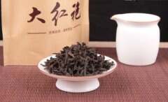 母树大红袍的茶树品种