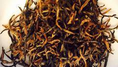 四川有什么茶叶品种