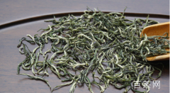 宁武毛尖茶是什么植物