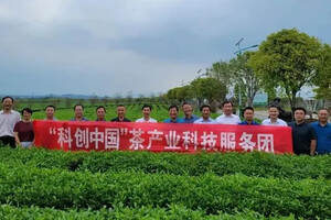 茶资讯|“科创中国”茶产业科技服务团助力咸宁茶业高质量发展