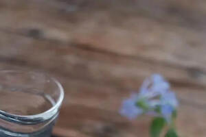 岩茶界的双生花——肉桂和水仙，你知道如何区分吗？