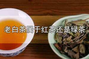 老白茶是绿茶吗