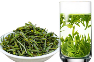 茉莉毛峰是属于什么茶
