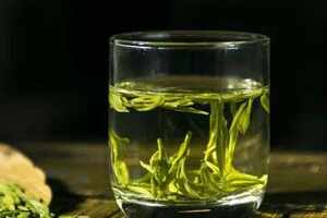 西湖龙井属于红茶还是绿茶