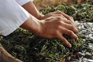 普洱茶制作步骤_普洱茶制作的步骤是什么