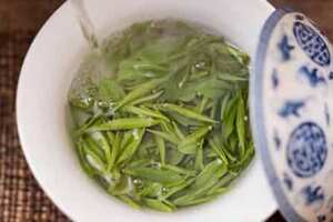 绿茶属于发酵茶吗（绿茶属于不发酵茶）