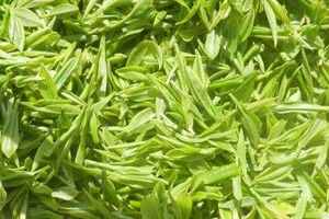 汉中绿茶品种