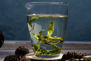 荒山野茶属于什么野山茶属于什么茶种