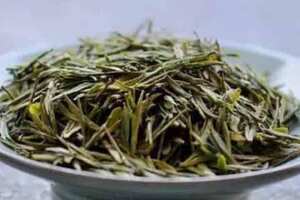 茉莉茶叶属于什么绿茶
