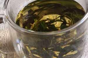 蒲公英绿茶的功效和作用