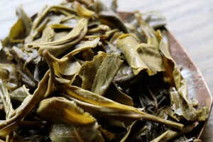 大片叶子的茶叶是什么叶子很大的茶叶叫什么茶？
