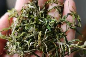黄山野茶多少钱一斤