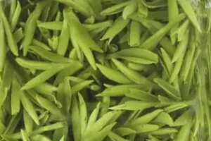 绿杨春哪里的最正宗_绿杨春茶叶多少钱一斤？