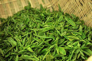 绿茶中哪个品种最好喝
