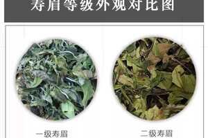 中国最贵的茶叶多少钱一斤