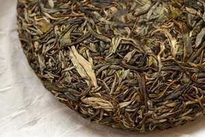 普洱茶是茶的什么种