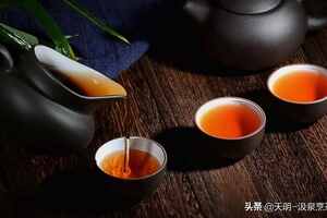 武夷岩茶是属于什么茶