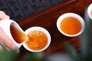 生普洱茶和熟普洱茶的区别（生普洱茶和熟普洱茶的区别功效）