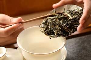 竹叶茶怎么泡最好喝