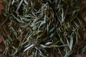 黄山毛峰属于绿茶还是红茶