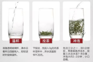 毛峰绿茶冲泡方法