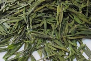 七佛贡茶的产地环境、加工工艺！