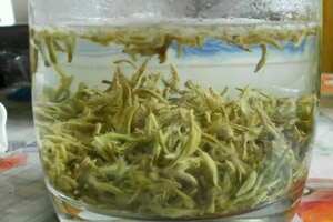 碧螺春属于哪种茶叶品种