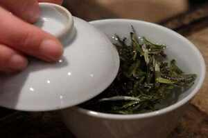 天目湖寿眉茶是什么茶