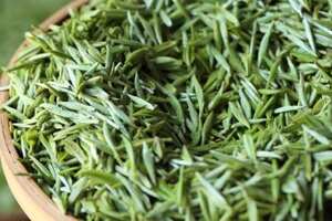 五峰绿茶是什么品种